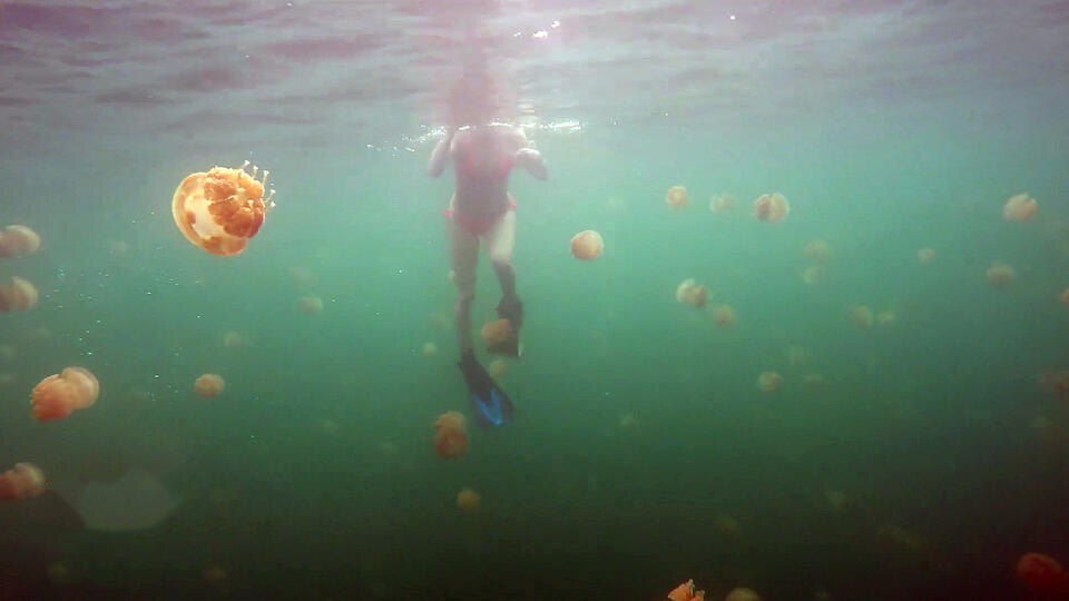 ФОТО: Кадр из программы "Невероятно интересные истории", РЕН ТВ