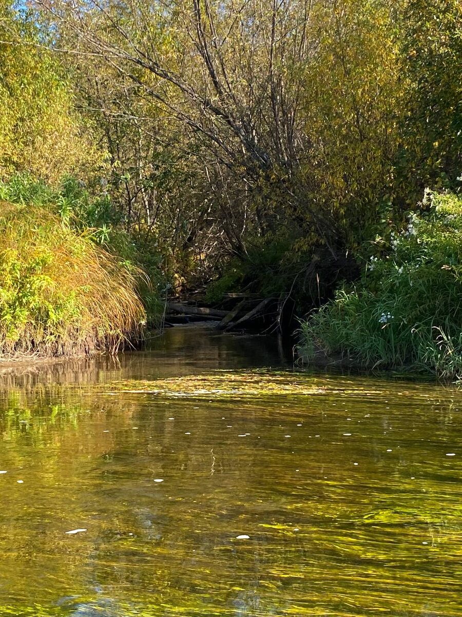 Речка Большая Воронья