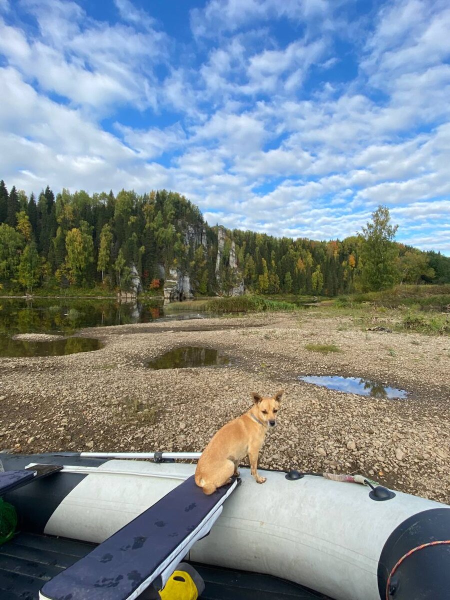 Нюша, лодка и Столбы