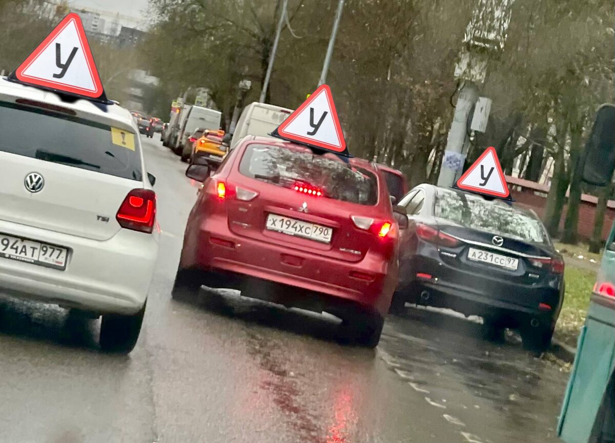 На права без автошколы: в России могут вернуть самоподготовку. Фото: Августинка Алена