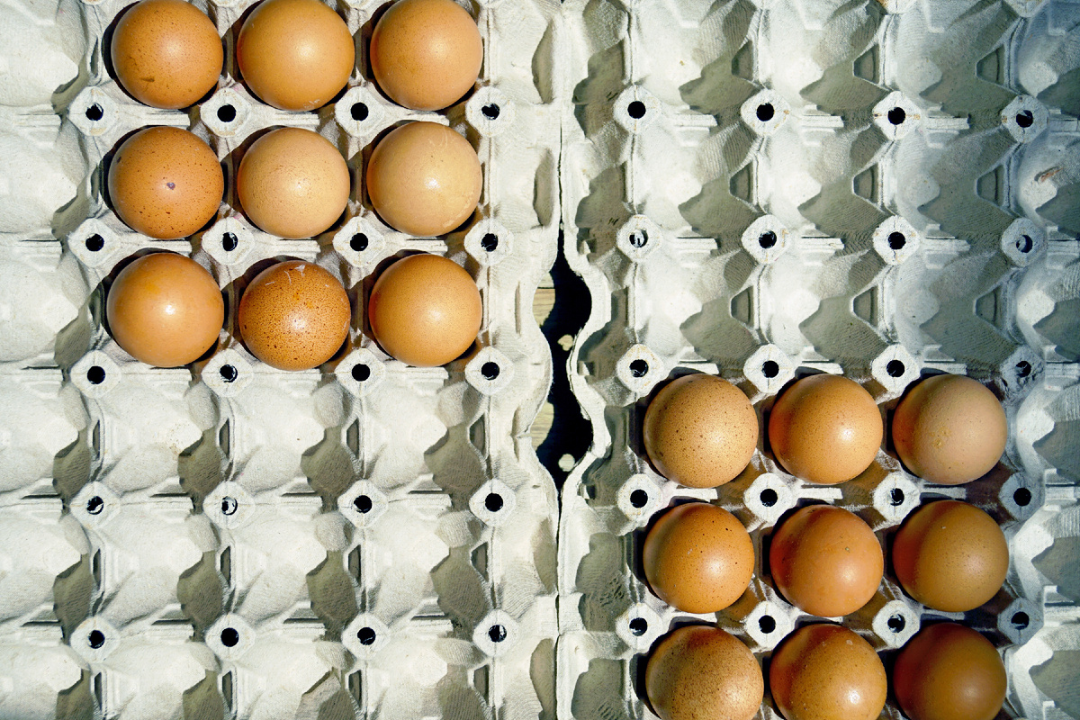 Фото: Shutterstock