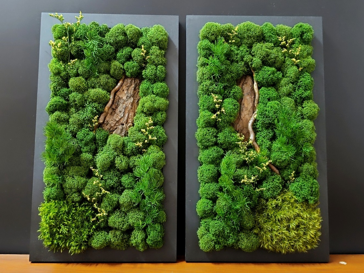 Картины из стабилизированного мха и растений