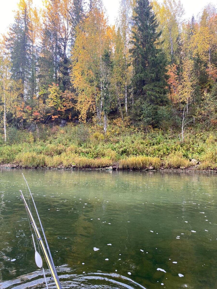 Мутный след