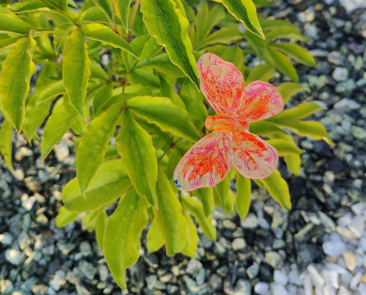 Фото  автора