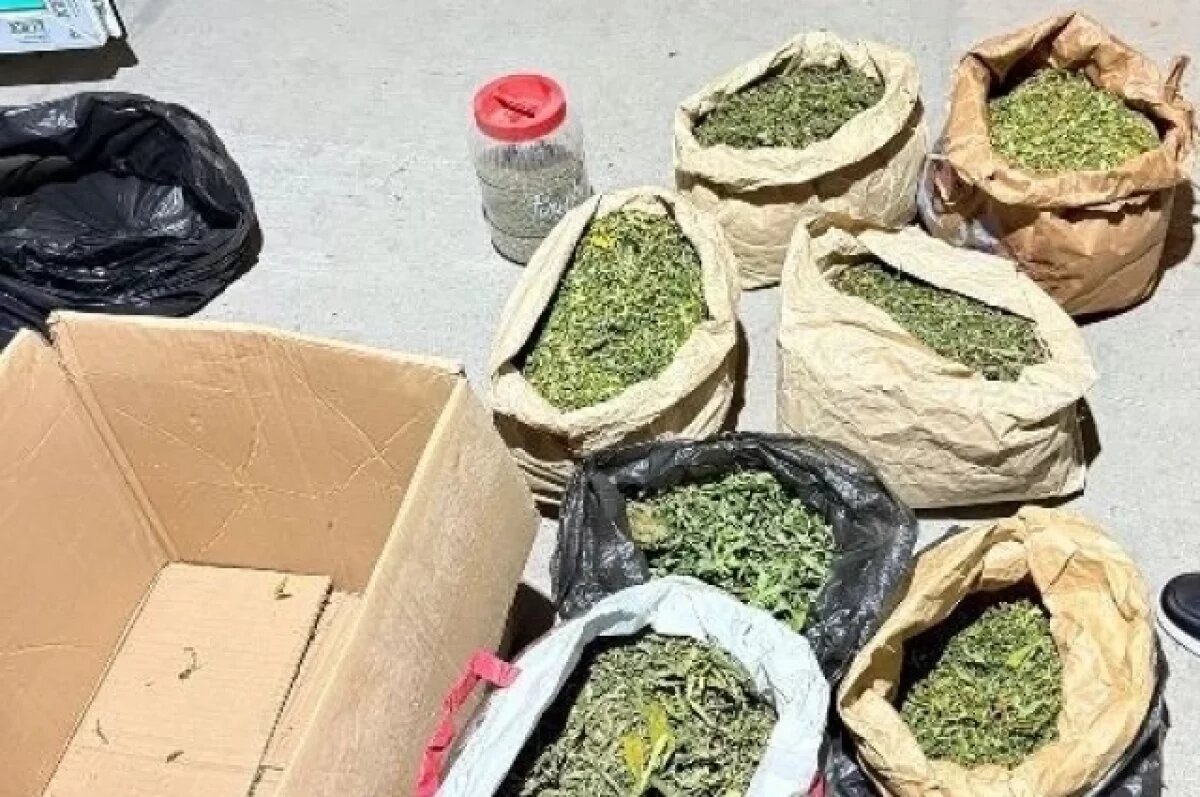    У 34-летнего жителя Майкопа изъяли около 4,8 кг наркозелья