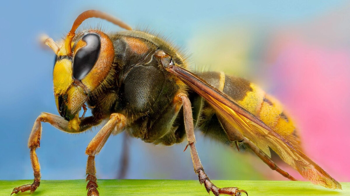    Фото: s.tokarev/Shutterstock/Fotodom