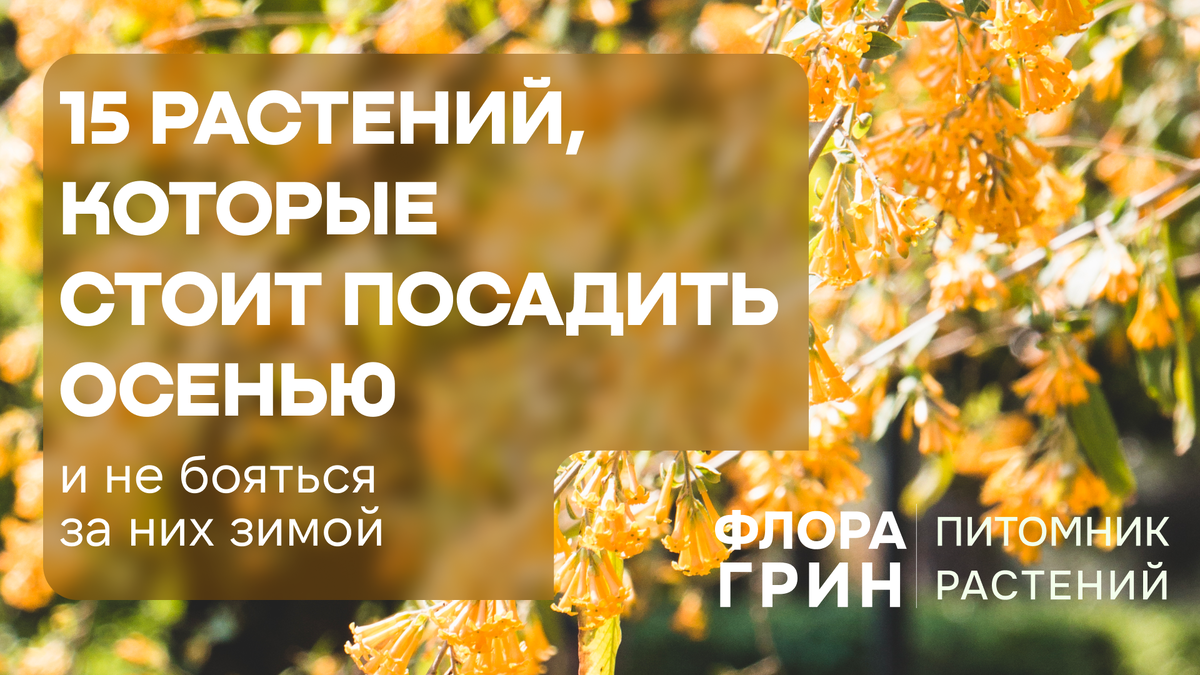 питомник растений «Флора Грин»