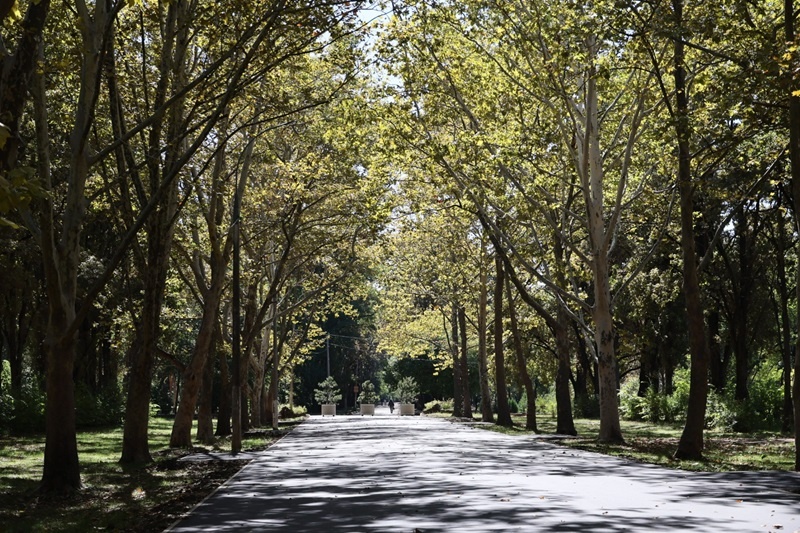    Фото: пресс-служба администрации Краснодарского края