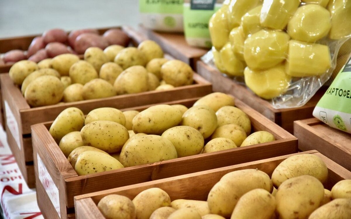    «Мираторг» открыл селекционный центр и картофелехранилище в Орловской области за 3 млрд рублей Фото: правительство Орловской области