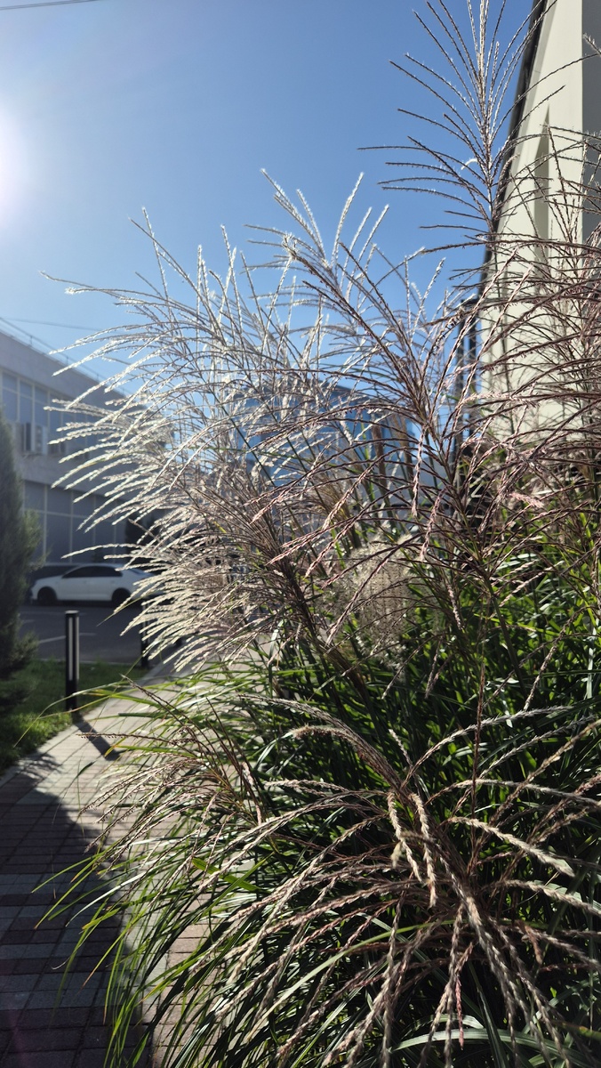 Такая осень в Москве