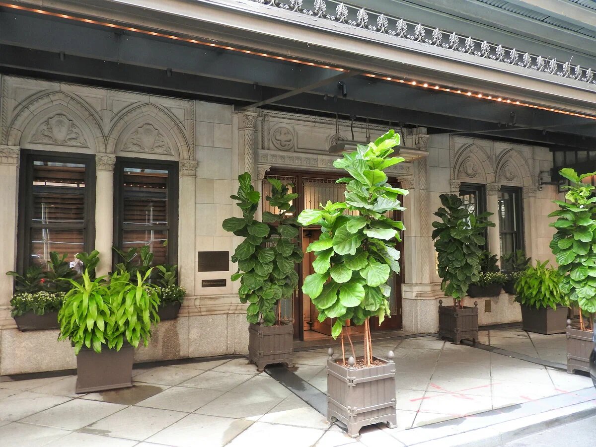 Французский ресторан "Даниэль" в Нью-Йорке