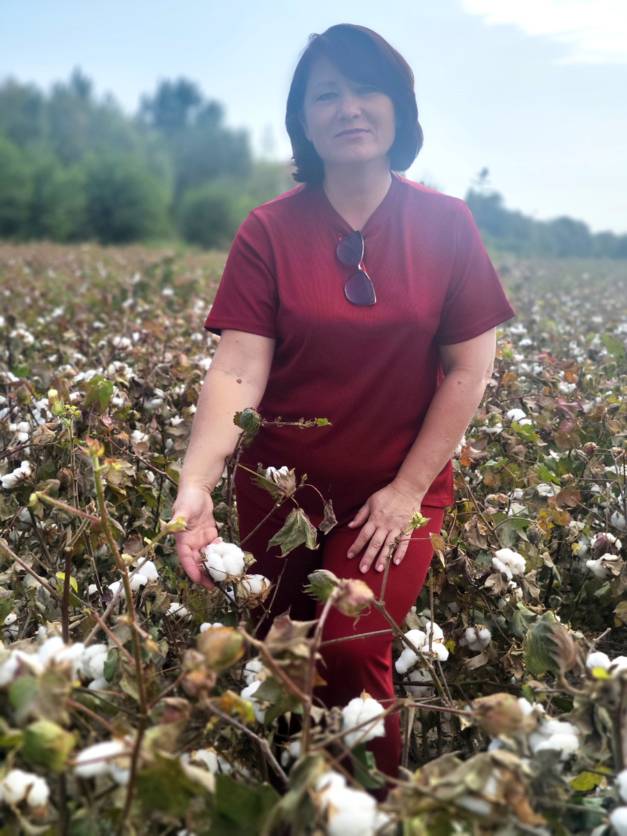 Сентябрь -октябрь самое время для сбора хлопка