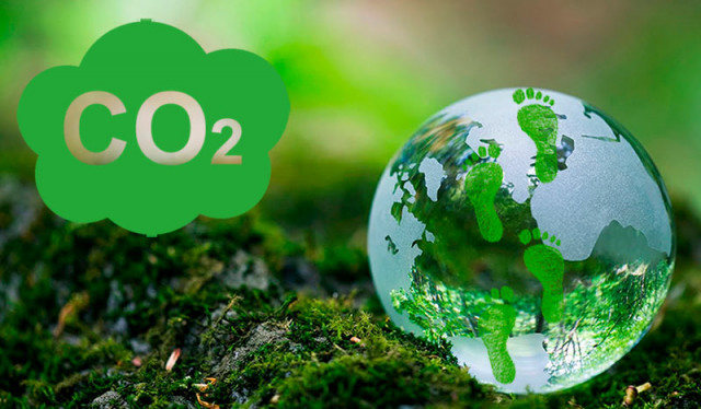 Фото: timacad.ru