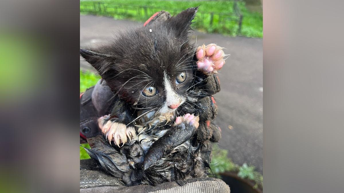    Фото: vk.com/gkuspbpss