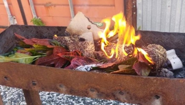    Фото: Управление Россельхознадзора по Кировской области, Удмуртской Республике и Пермскому краю