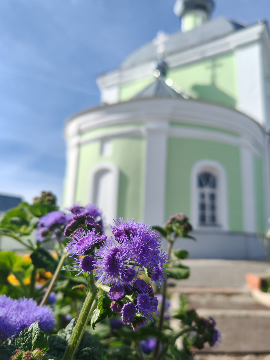 с.Арское Ульяновская область . Фото автора 