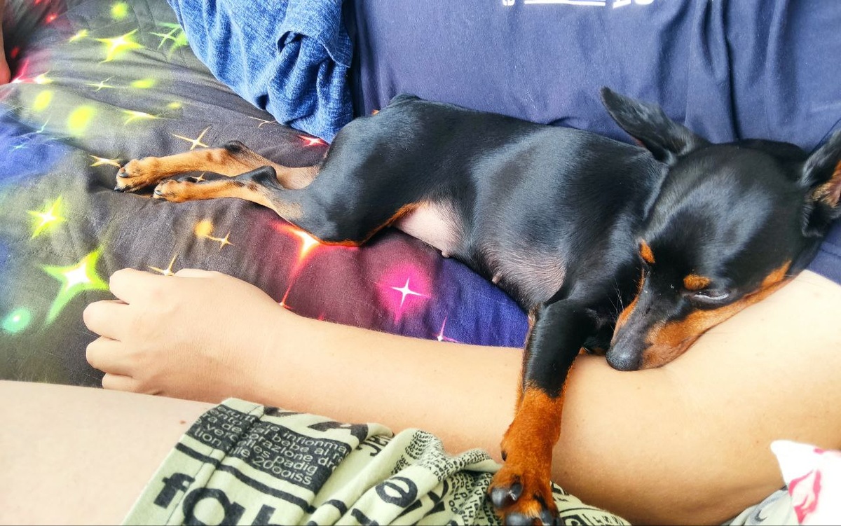 Моя сладенькая мордочка🥰