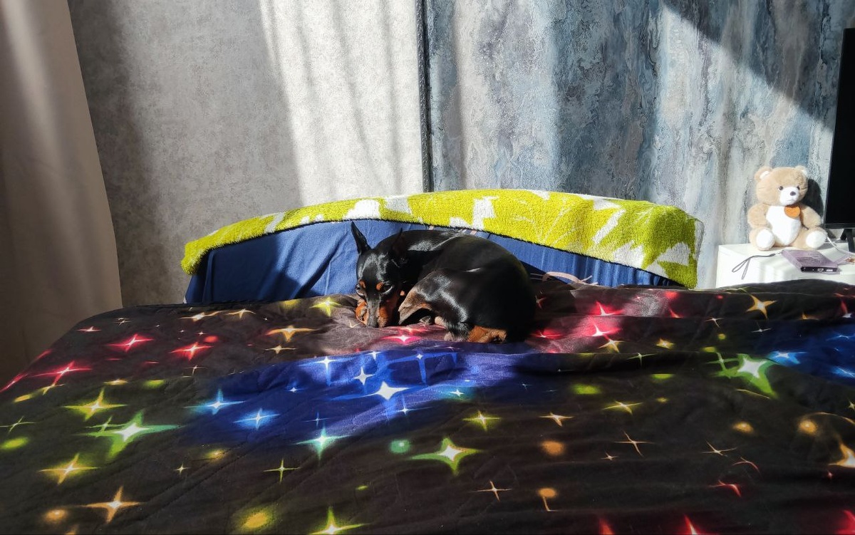 Обидели зайку