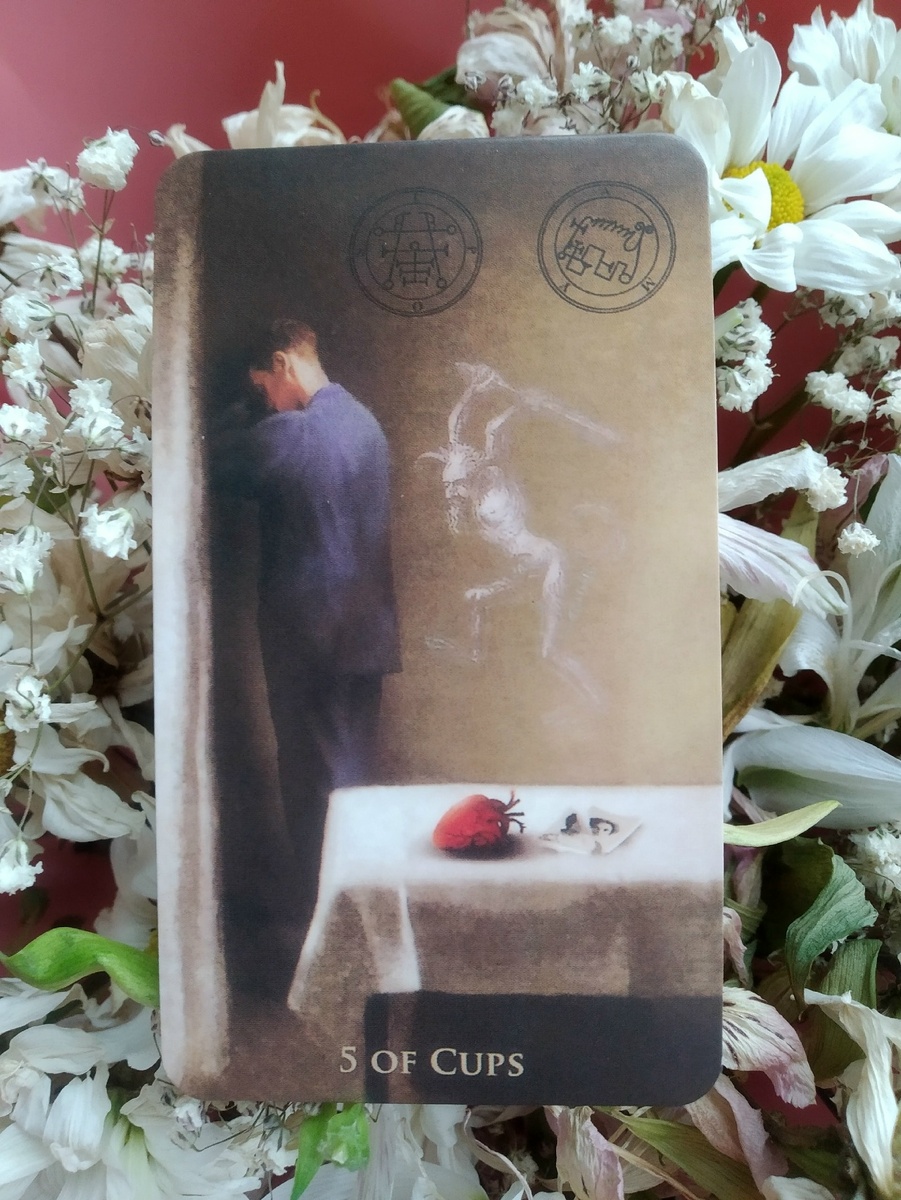 5 кубков Таро Сумасшедшего дома