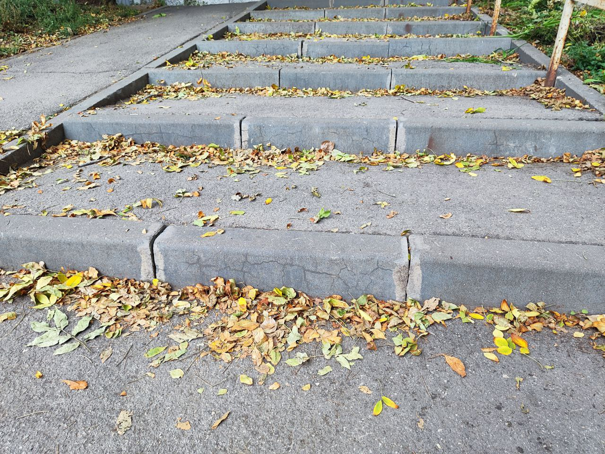 Фото автора.