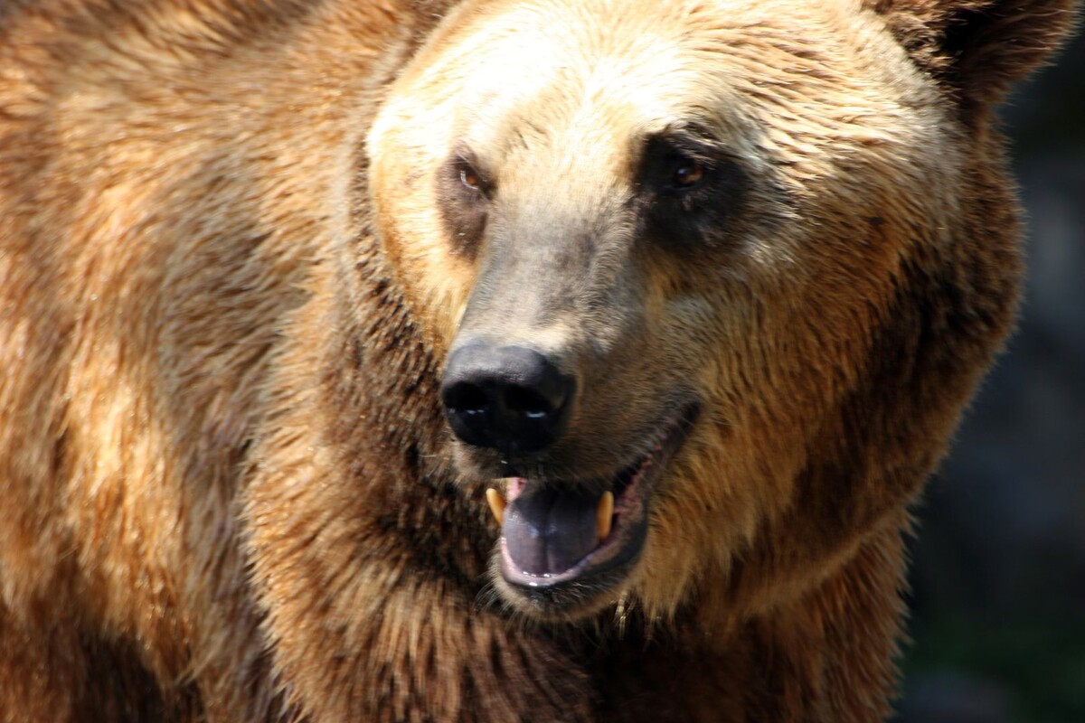     / Источник: © Global Look Press