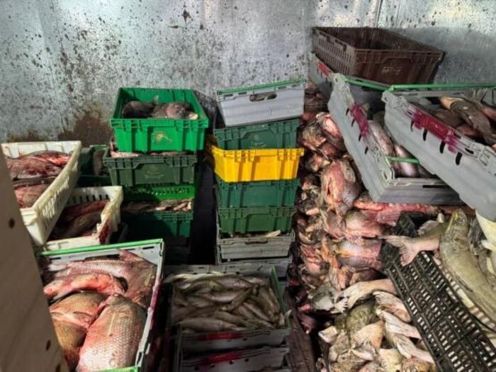 Иллюстрация: ГУ МВД РФ по РО