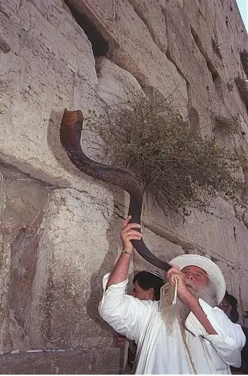 Картинка из интернета