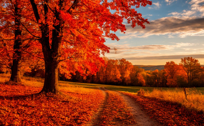    © изображение сгенерировано нейросетью «Шедеврум»