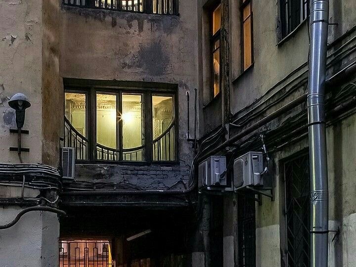 Сленг Петербурга: «кура», «греча» и другие живые слова, которые говорят сами за себя