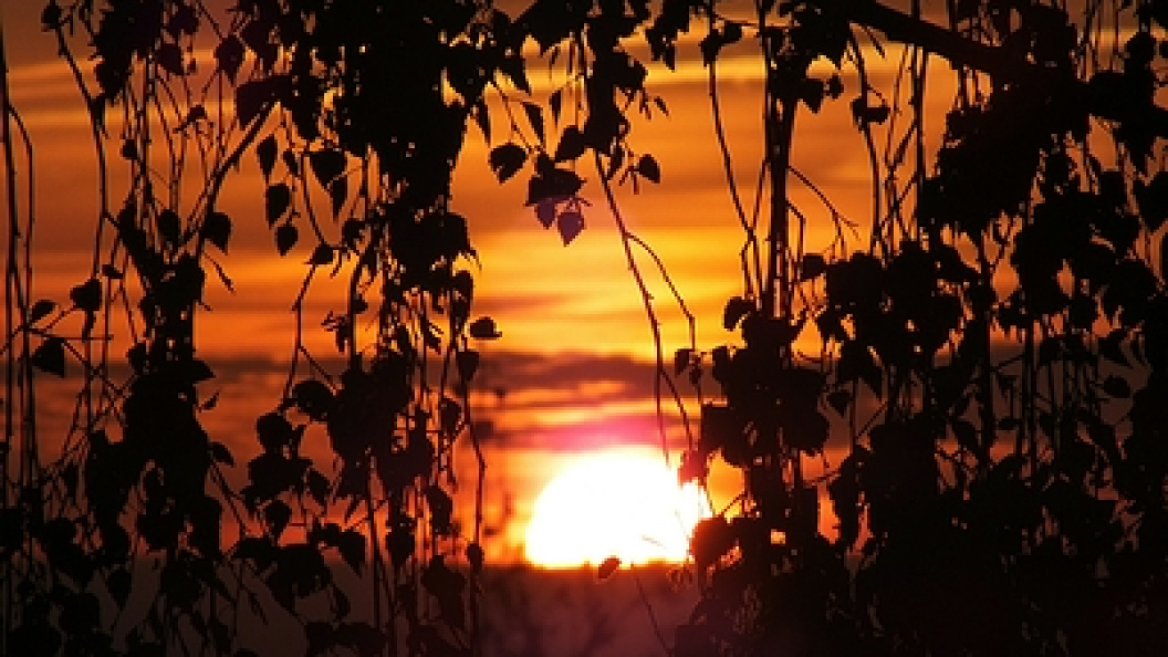    Фото: Victor Lisitsyn, Виктор Л/Globallookpress