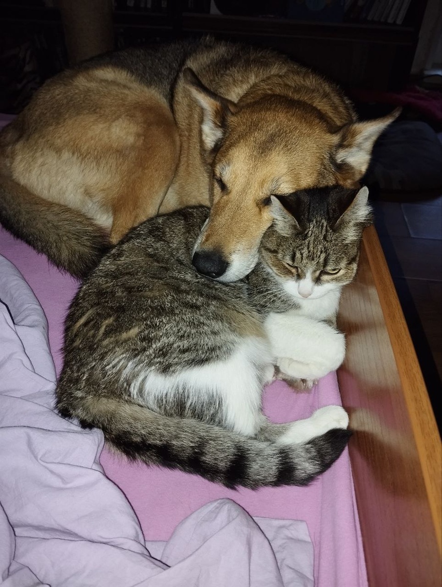 Теперь вот так. Но так было не всегда