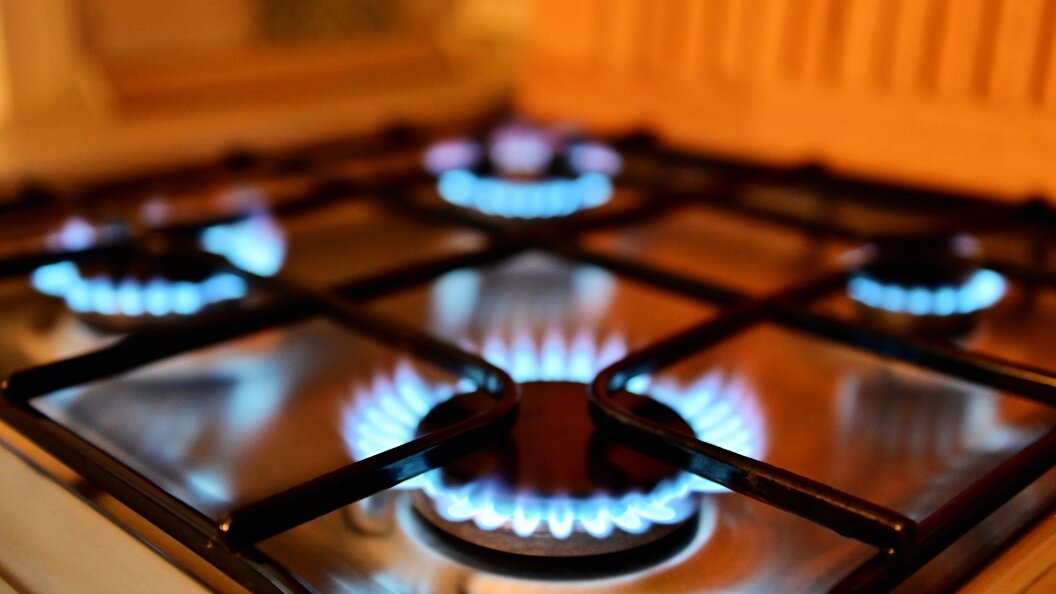    Фото: Vladimir Baranov/Globallook Press/Globallookpress