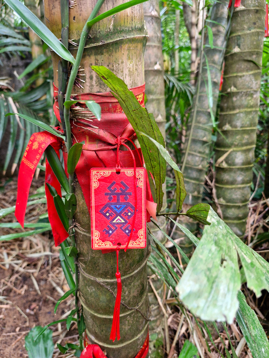 Ссылка на первую часть экскурсии с фуникулером, стеклянным мостом, небесными качелями и эмоциями от локаций в конце статьи 