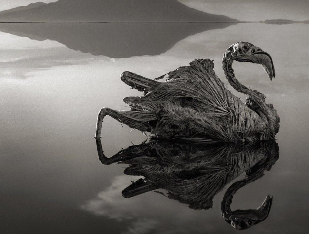 Источник: bljesak.info