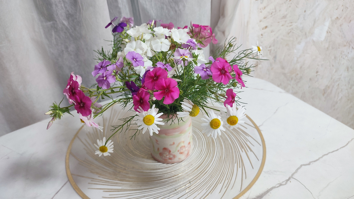 Собрала новый букет: ромашки и флоксы