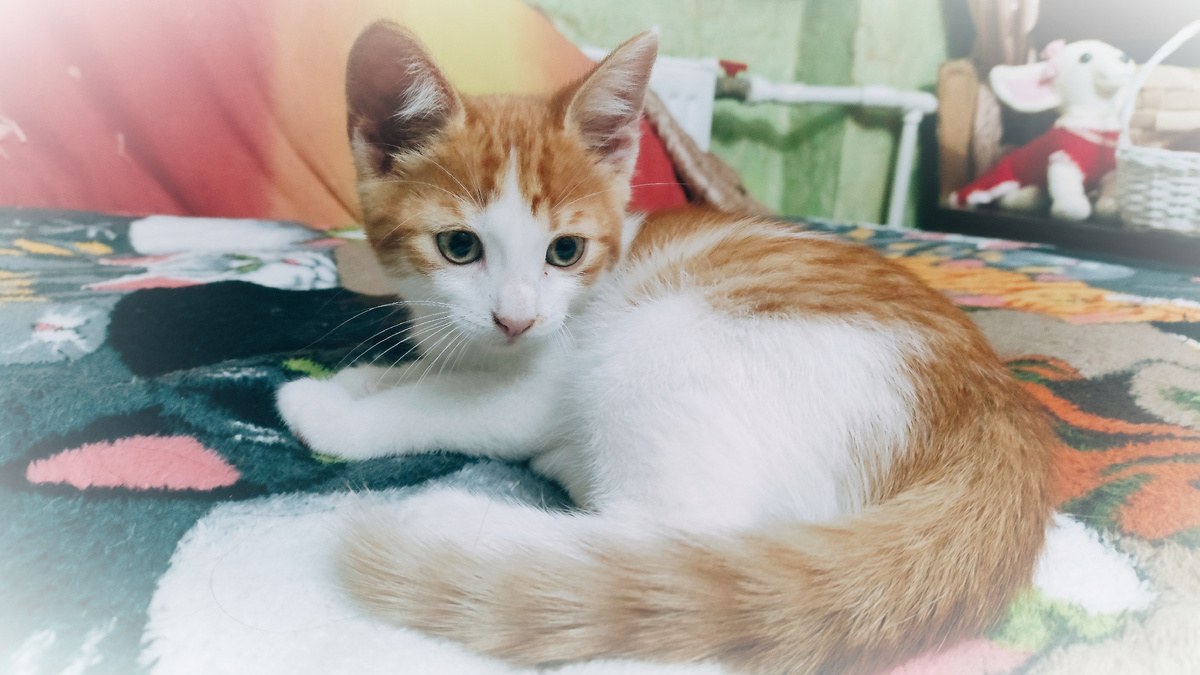 фото автора