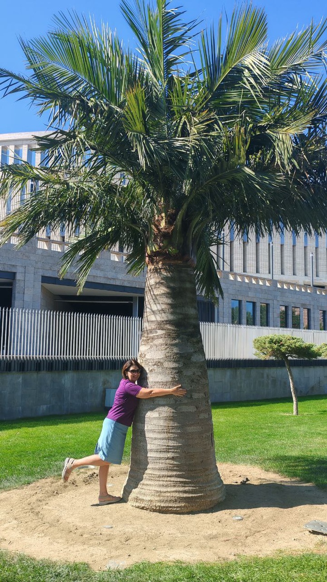 Парк Галицкого