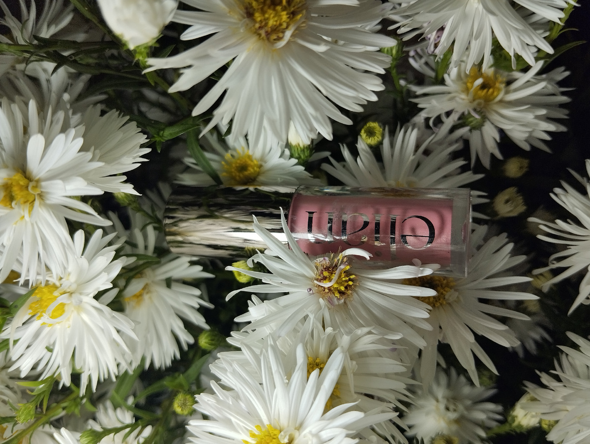 Elian Russia Румяна Soft Glow в оттенке 01 Sweetie цена 800 руб. (Без скидок) 