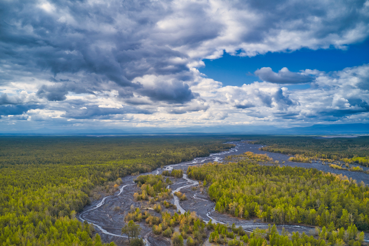 guenterguni/istock