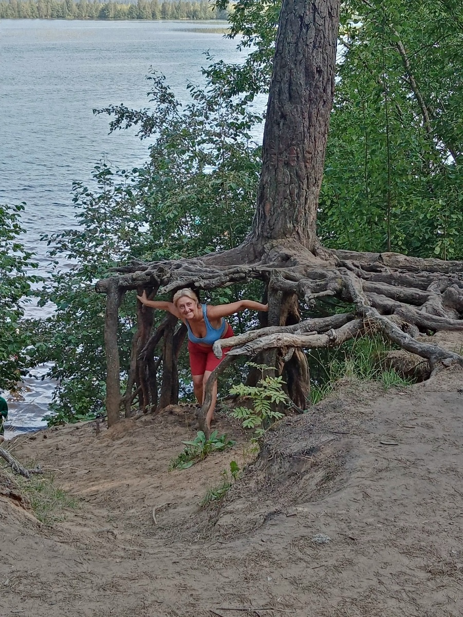 Вот такие сосны встречаются в местечке, где я живу. Райское местечко. Фото из личного архива автора. Листайте дальше!