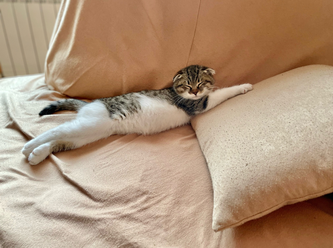 Первый день как с улицы 