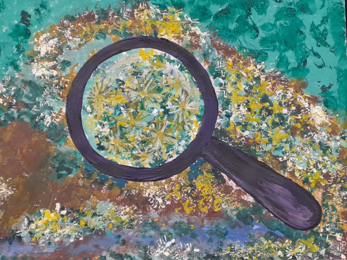 Бикмурзина Эмилия, 6 лет (с участием воспитателя детсада), «Сфагнум прекрасный я в лупу рассмотрю» (этап «Древнейшие на земли - мхи»). Источник: news.sgnorilsk.ru