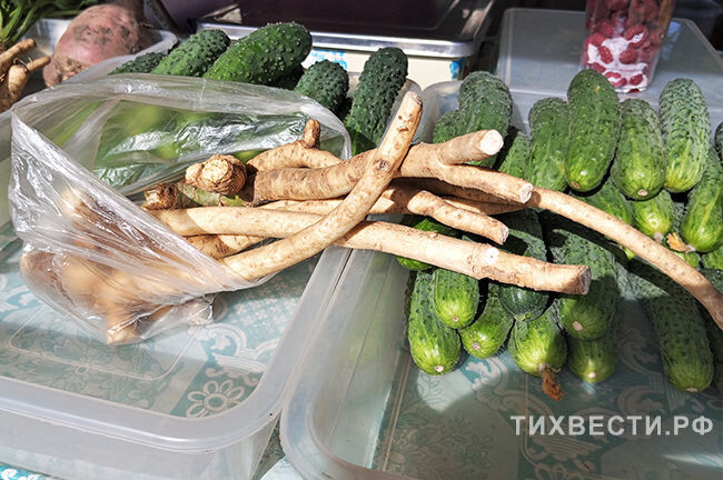 Фото Виолетты ГАВРИЛЕНКО.