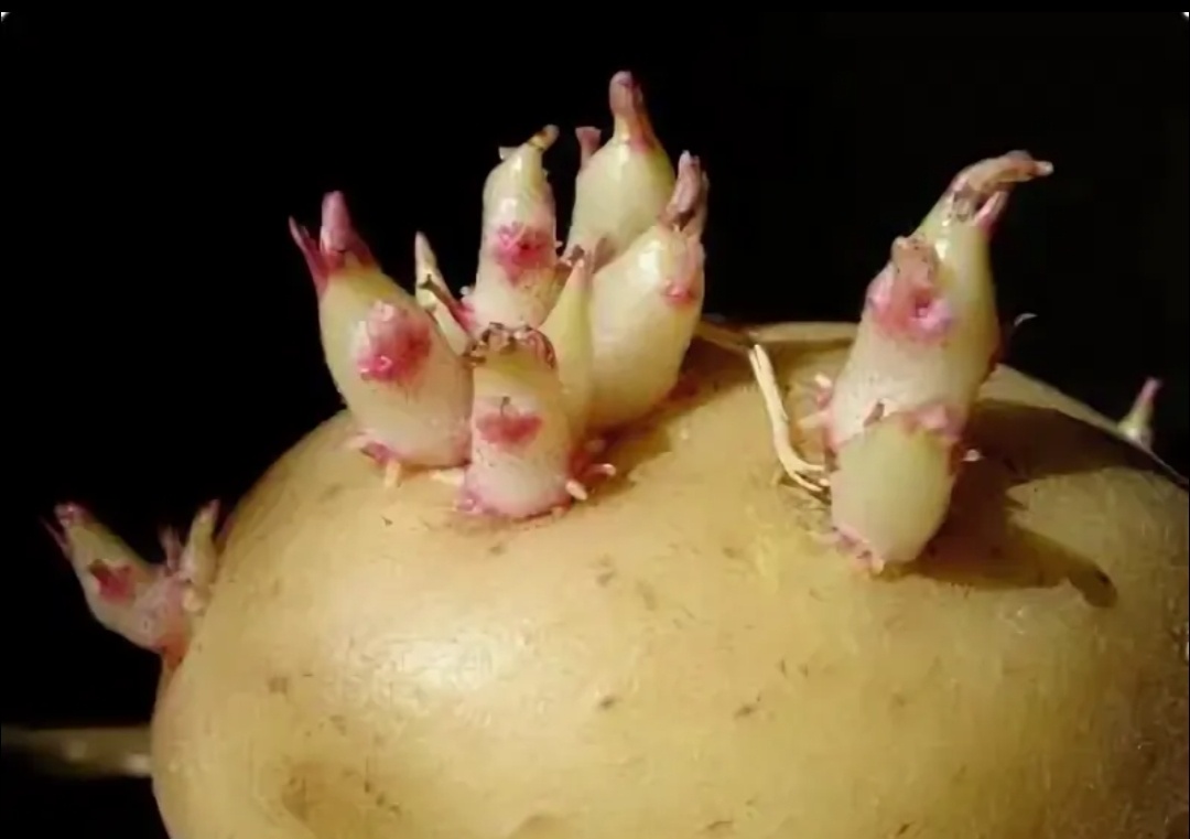 Скрин из интернета