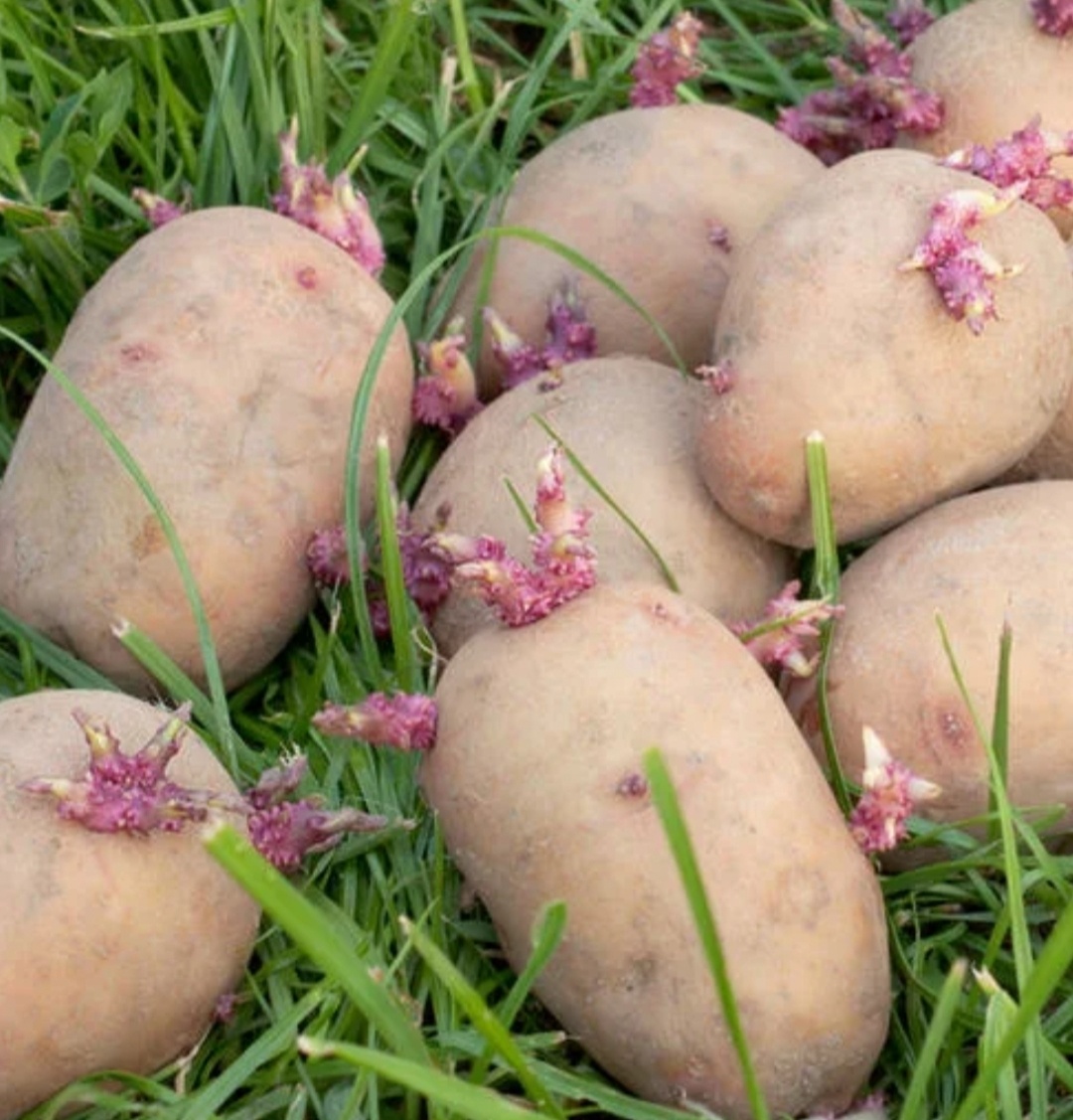 Скрин из интернета