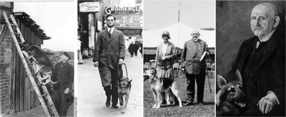    Макс фон Штефаниц. Источники изображений: eduken.in, zapovednik96.ru