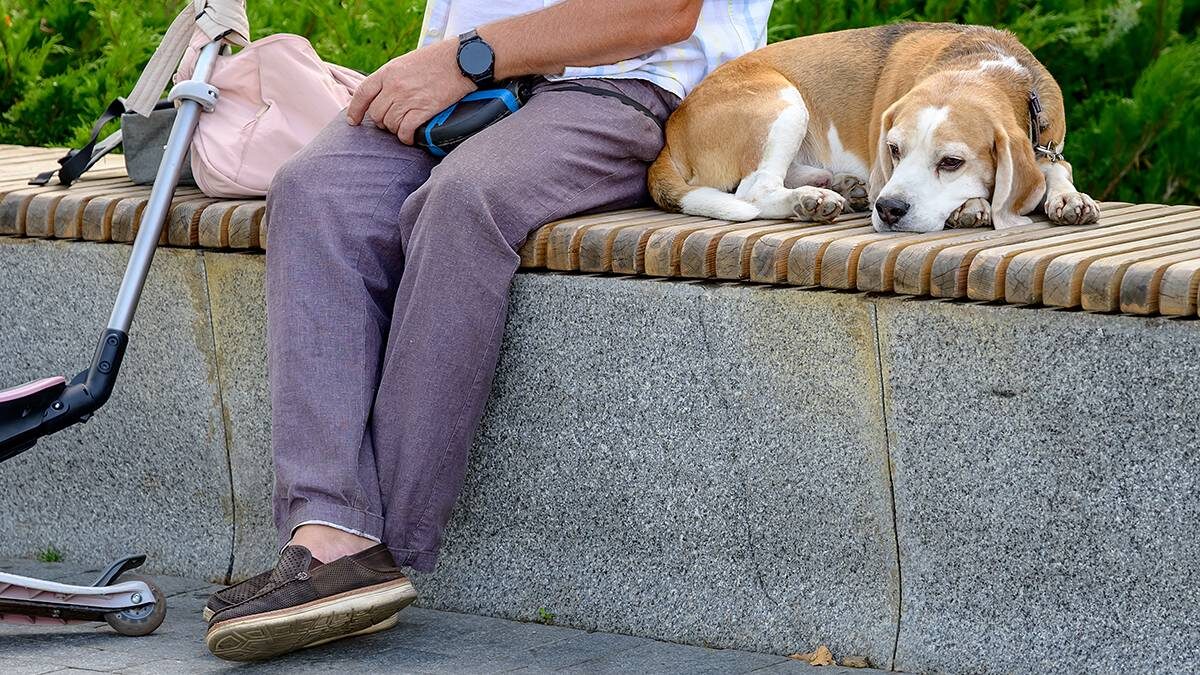    Фото: Дмитрий Дубинский / Вечерняя Москва