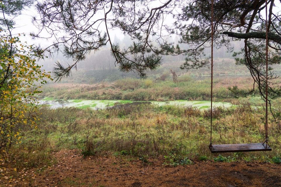    Туманное осеннее утро под Можайском / Медиасток.рф