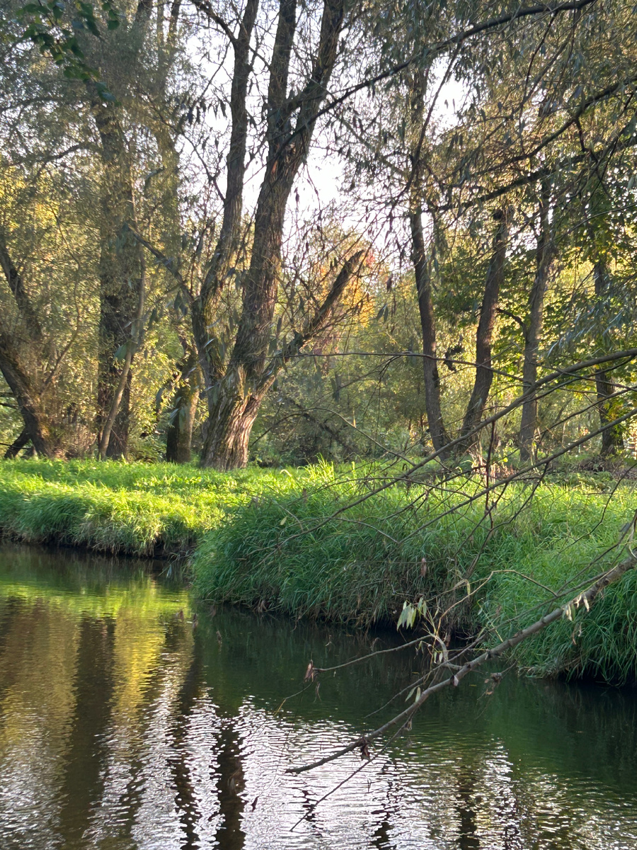 22.09.2025 - Астрономическая осень 