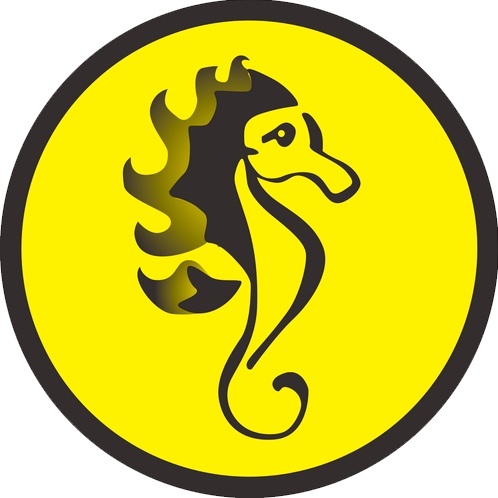 Подросла в «Шторме» — полгода пройдены